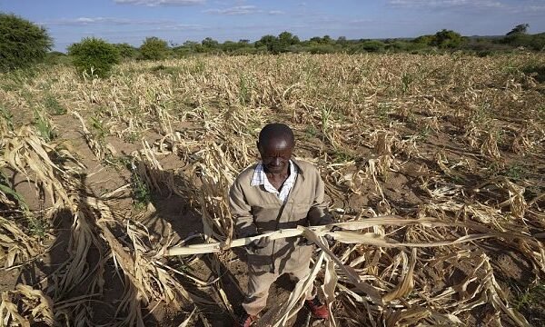 Severe drought and famine in southern Africa leaves some 20 million facing hunger