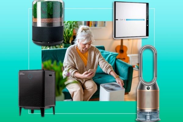 The best air purifiers for 2024