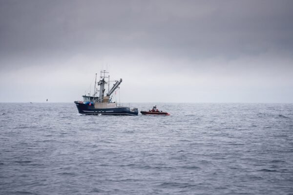 The algorithmic ocean: How AI is revolutionizing marine conservation