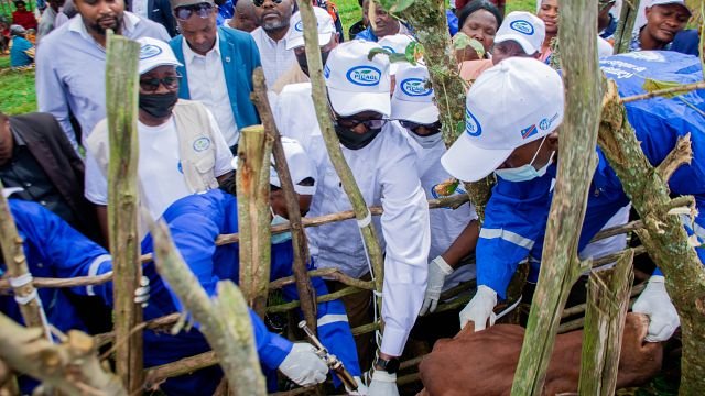 DRC: South Kivu launches large-scale vaccination