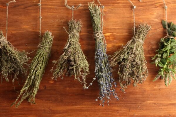 How to dry herbs at home (and why you should)