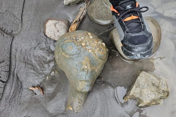 Couple Thinks They Found a ‘Head’ in Riverbed, Then They Look Closer