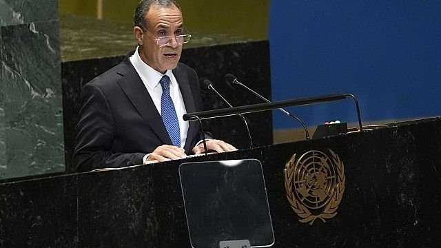 Egypt demands permanent seats for Africa, Arab States at UN Security Council