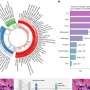 Q&A: A new medical AI model can help spot systemic disease by looking at a range of image types