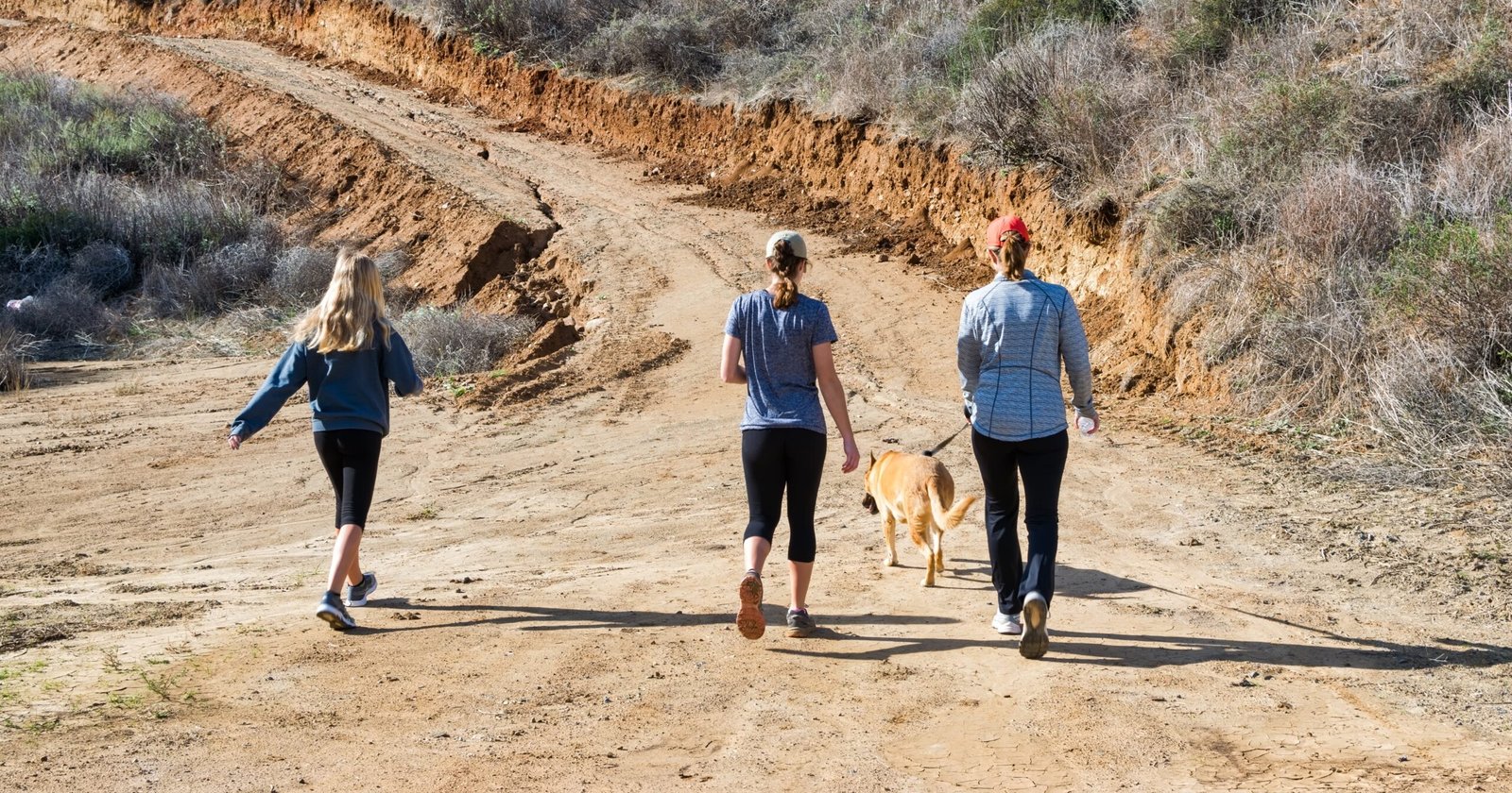 Valley Fever Is Spiking, Again