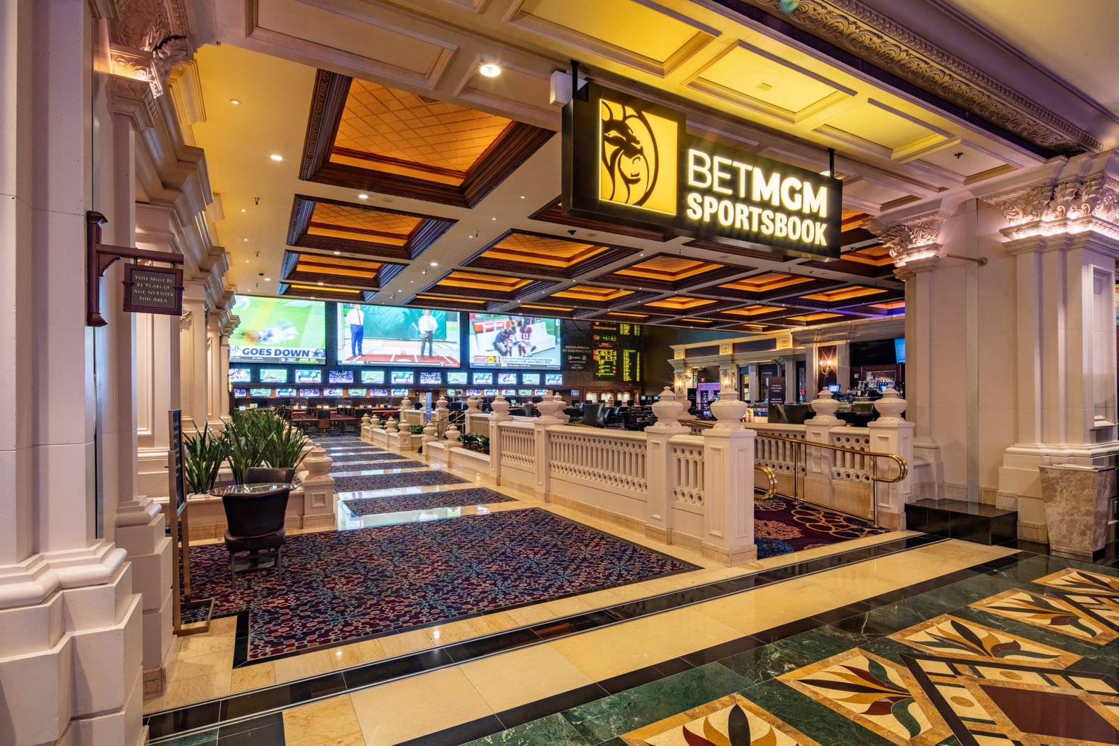 Greenblatt expects player acquisition decline as BetMGM aims to be “home of the premium mass player”