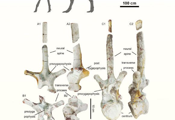 New Duck-Billed Dinosaur Unearthed in China