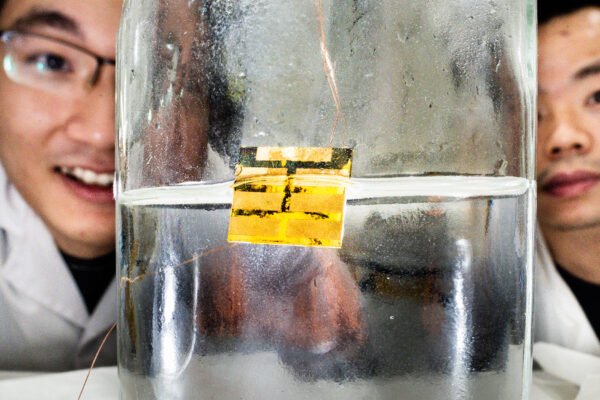 How water could make future solar cells recyclable