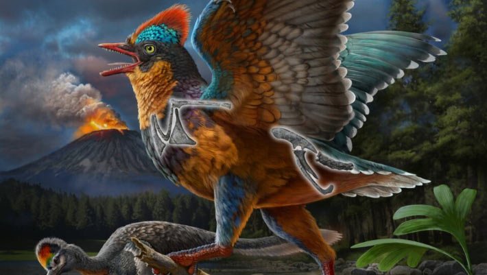 New Fossils from China Fill Gap in Early Evolutionary History of Birds