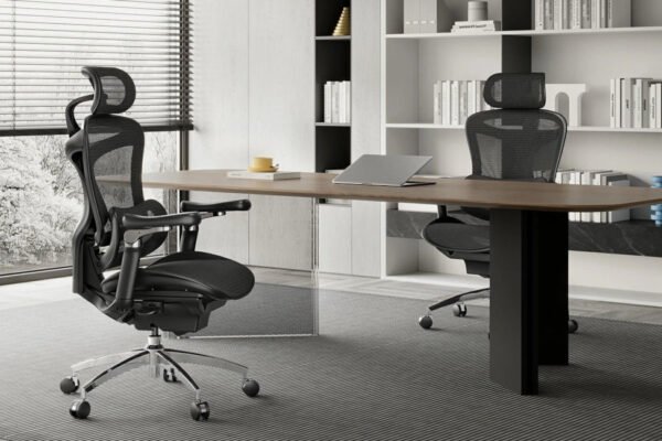 I reluctantly tried a $700 office chair. One feature made me a believer