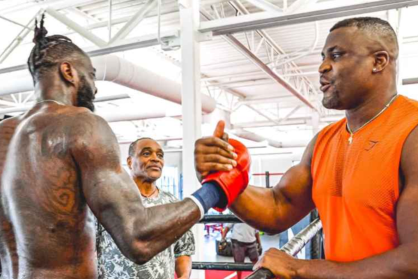 Francis Ngannou confirms boxing return, targets Wilder