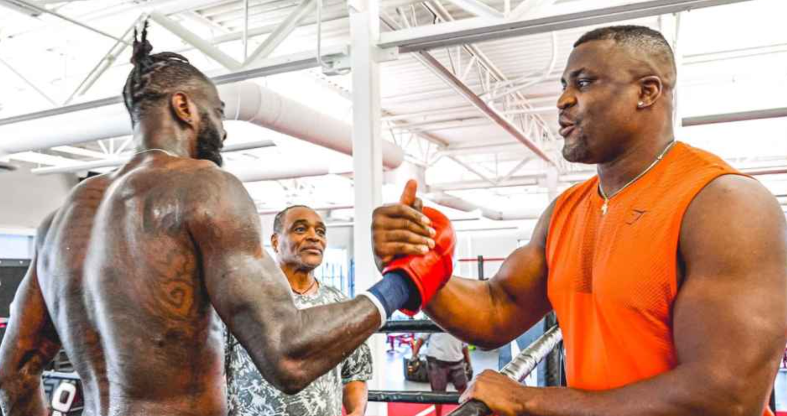 Francis Ngannou confirms boxing return, targets Wilder