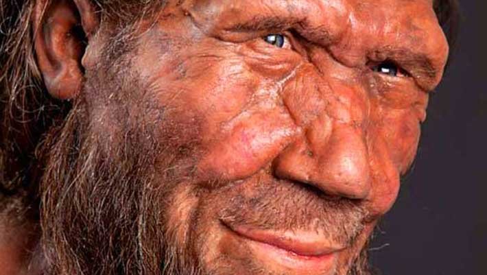 New Study Suggests That There Was Late Bottleneck Event in Neanderthal Evolution