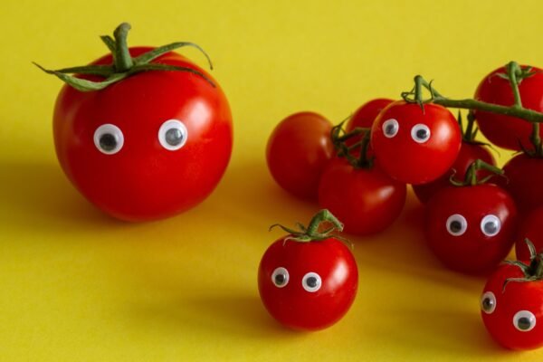 Scientists finally figured out why tomatoes don’t kill you