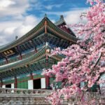 Try this destination for cherry blossoms instead of Japan