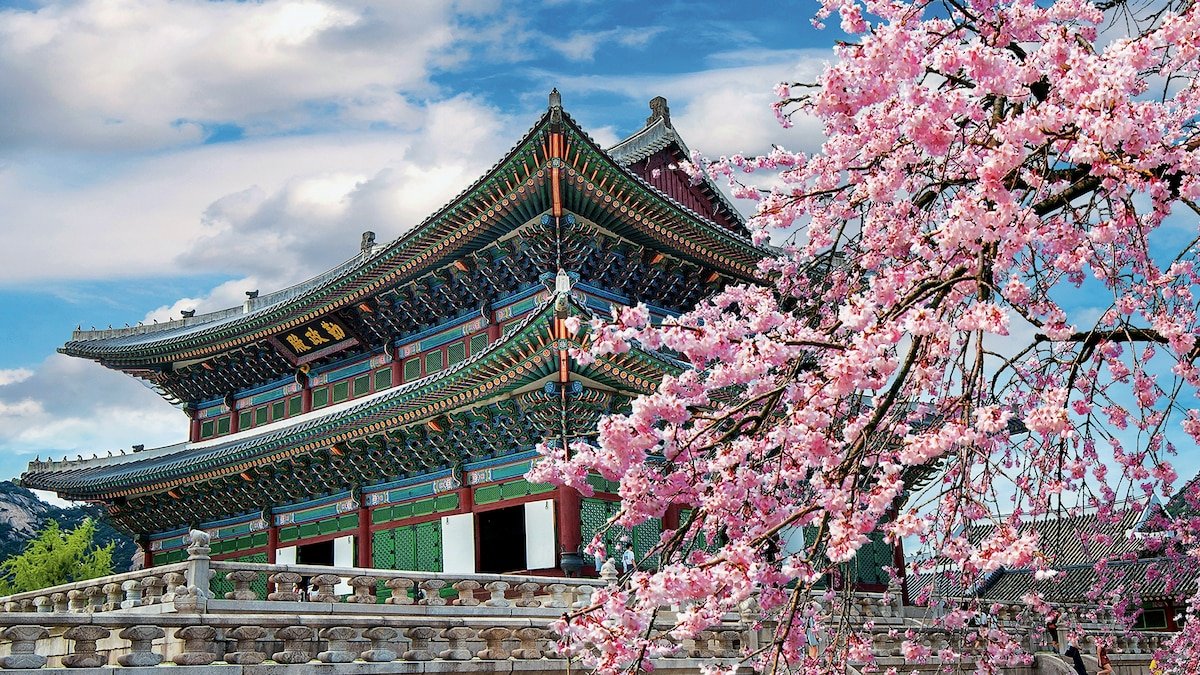 Try this destination for cherry blossoms instead of Japan