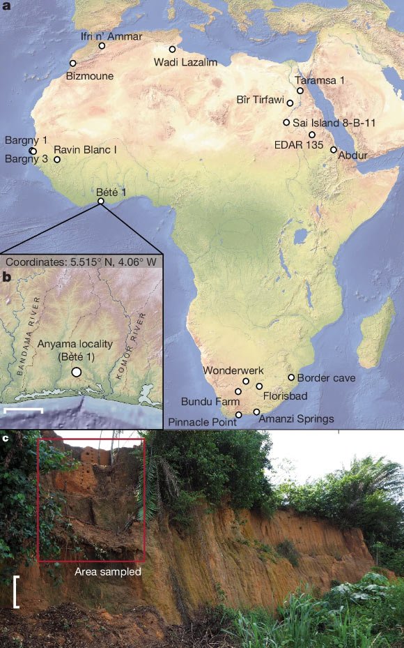 Homo sapiens Were Living in African Wet Tropical Forests as Early as 150,000 Years Ago