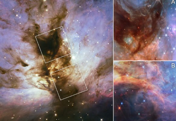 Webb Focuses on Flame Nebula’s Brown Dwarfs