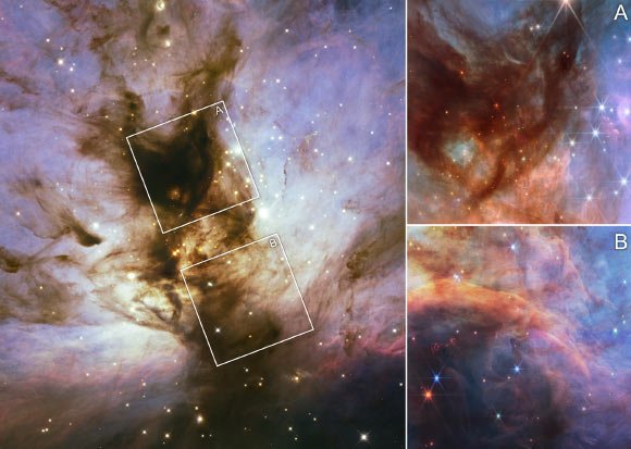 Webb Focuses on Flame Nebula’s Brown Dwarfs