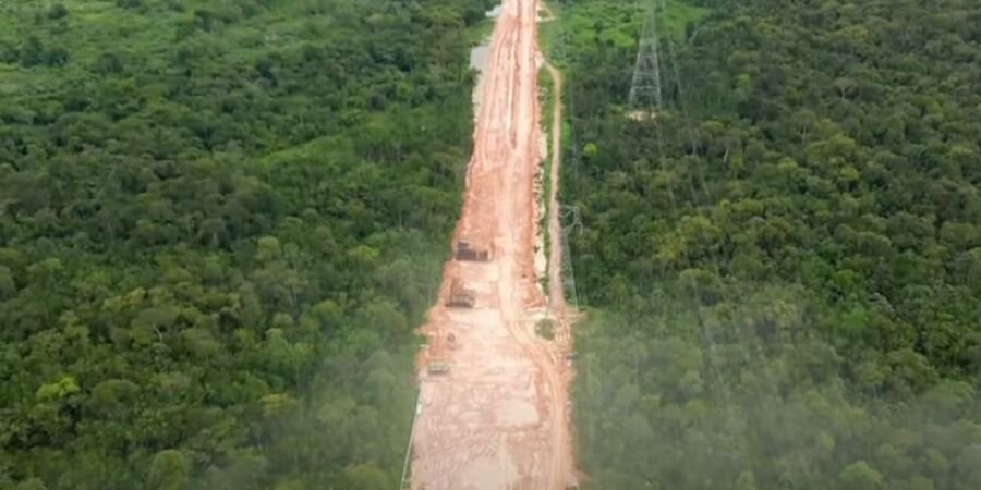 Brazil clears Amazon rainforest to build highway for climate summit