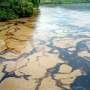 Oil spill in Ecuador river brings emergency declaration