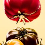 Loewe’s Meme-Inspired Tomato Clutch Is Finally Here