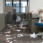 Your Boss Thrives on Chaos. Here’s How to Protect Your Energy.