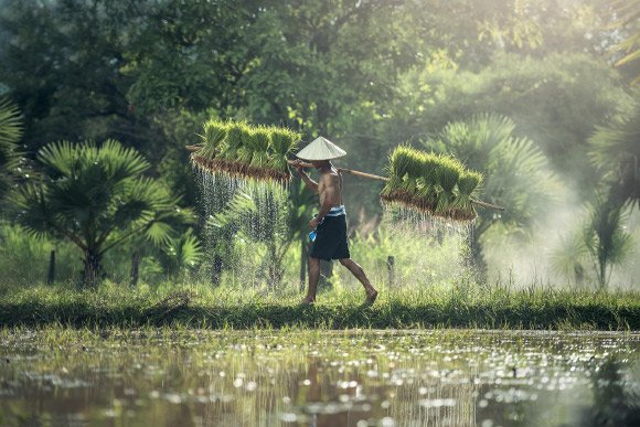 Humans are Seasonal Creatures, New Research Reveals