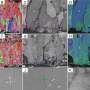 Dinosaur eggshell study confirms biogenic origin of secondary eggshell units