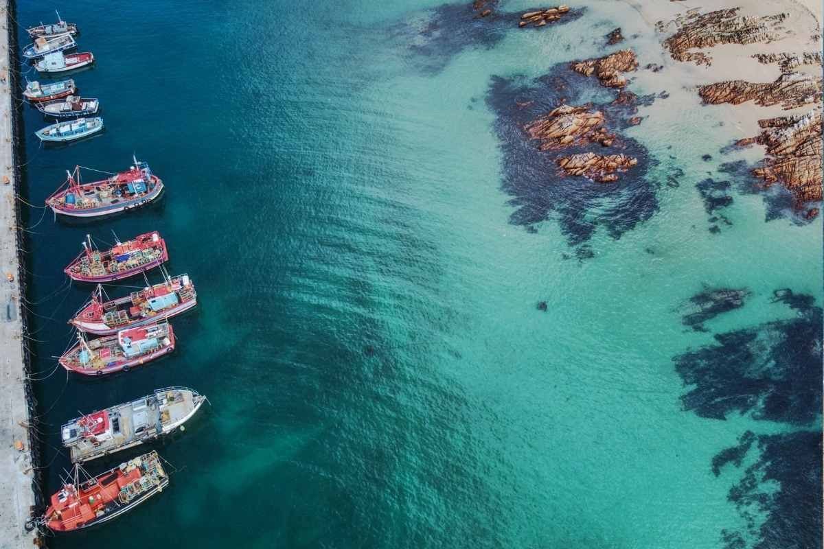 Body of woman discovered near Kalk Bay Harbour
