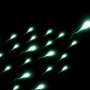 Study finds heat-activated switch in sperm is crucial for fertility