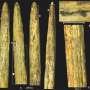 Ancient bone spear tip found in Russia is oldest in Europe and made by Neanderthals